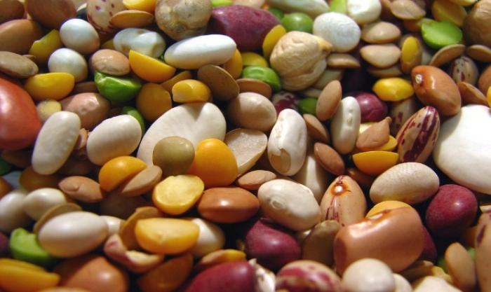 В Україні бракує якісного насіння нішевих бобових