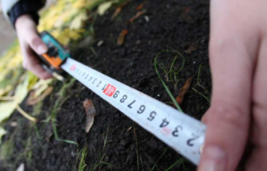 Половина землі сільгосппризначення перебуває в тіньовому обігу - Козаченко