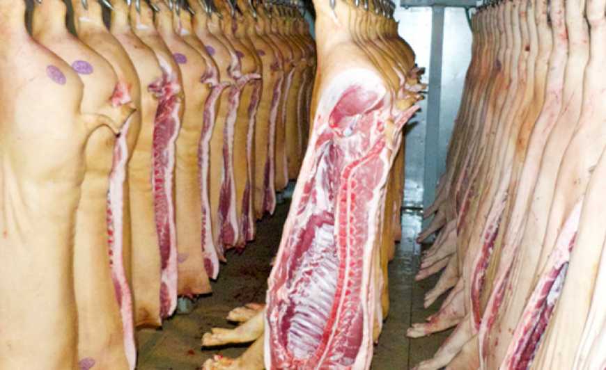 До кінця осені KSG Agro реконструює забійний цех