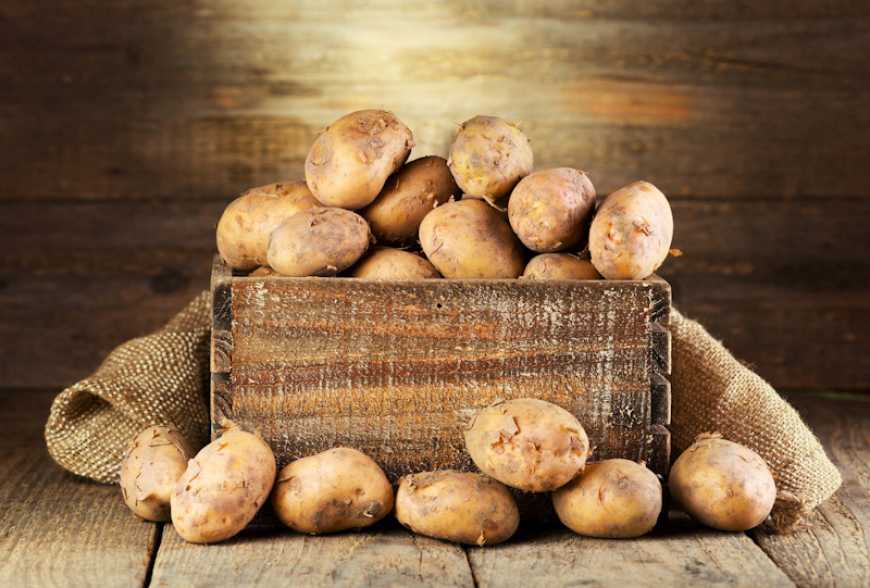 Українці перестали робити великі запаси овочів &laquo;на зиму&raquo;