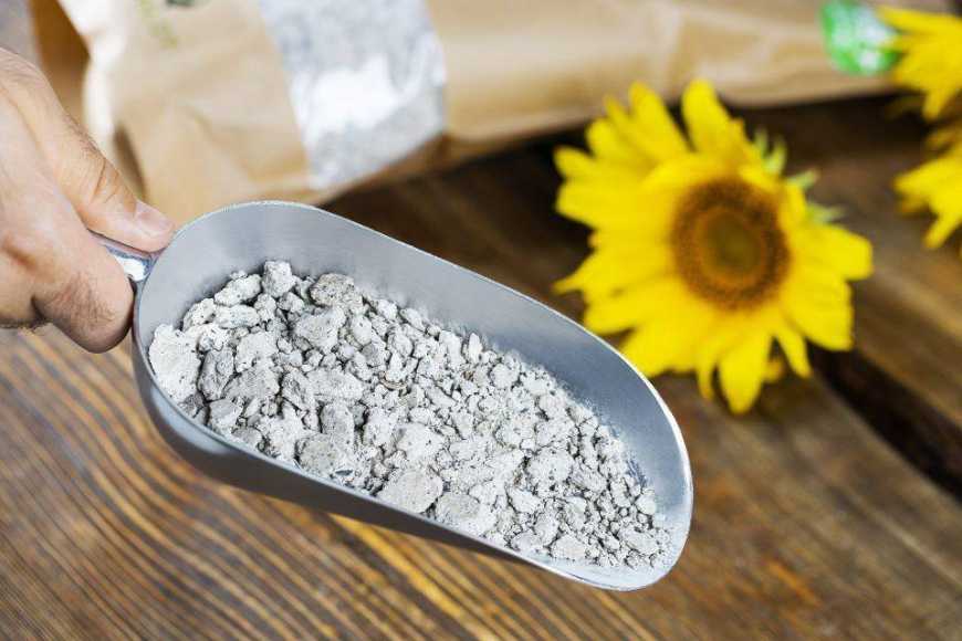 Соняшниковий шрот: Україна збільшила експорт більш ніж на 40%