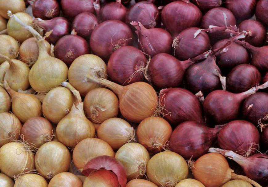 Україна почала імпорт цибулі з Узбекистану та Казахстану