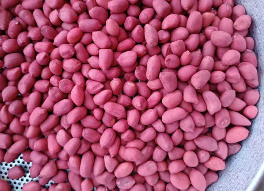 У Групі АГРОТРЕЙД вперше посіяли арахіс