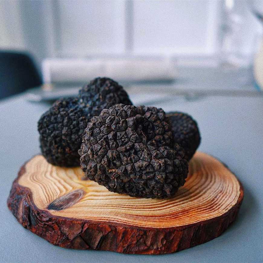 В Україні фермери все актвиніше починають вирощувати найдорожчі гриби - трюфелі