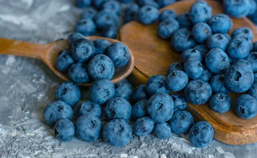 Українська органічна лохина виходить на ринок Скандинавії