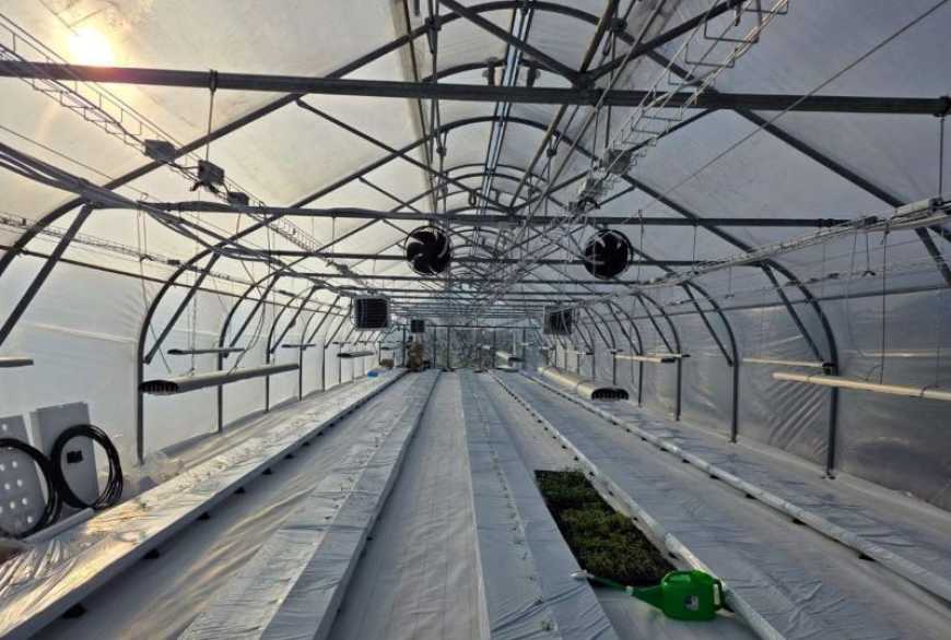 В Україні вирощуватимуть овочі та дині за японською технологією