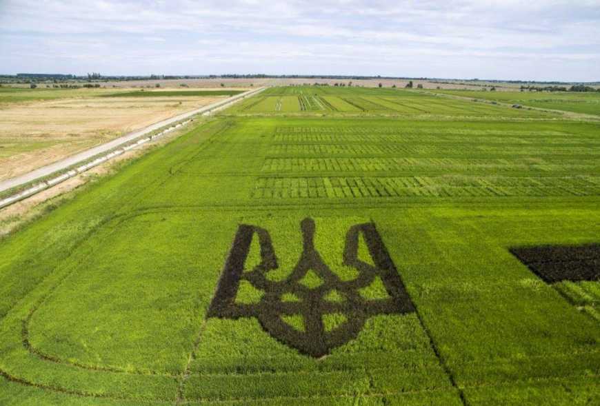 В Україні планують покращити механізм використання державних сільгоспземель