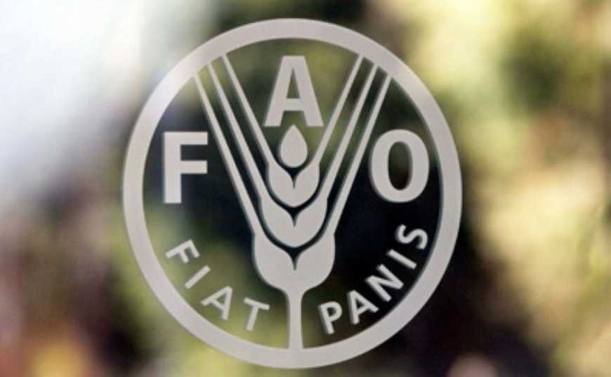 ФАО в Україні: перспективи співпраці в аграрній царині