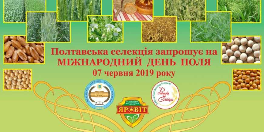Полтавська селекція запрошує на Міжнародний день поля