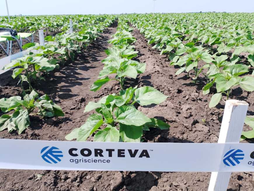 Corteva Agriscience презентувала дослідницьку польову платформу «Агропростір»