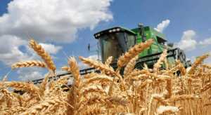 Урожай в Україні прогнозують на рівні 65% від торішнього