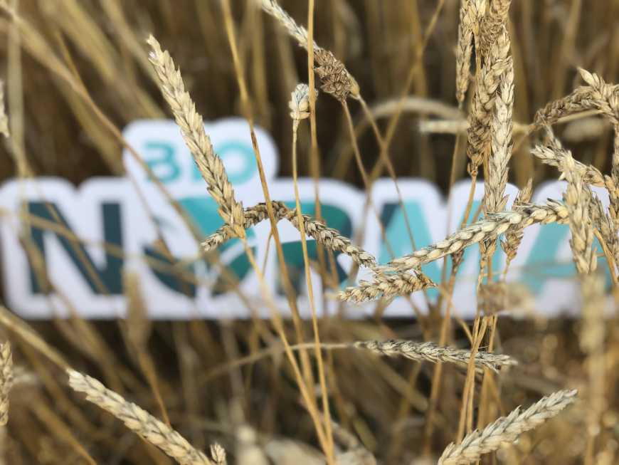 XXI сторіччя пройде під знаком біотехнологій