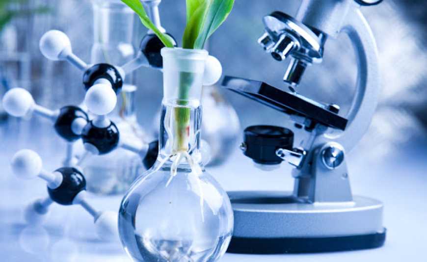 Уряд ухвалив зміни до процедури фітосанітарних заходів під час воєнного стану