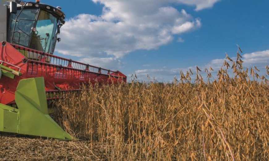 В шістьох областях почали збирати сою