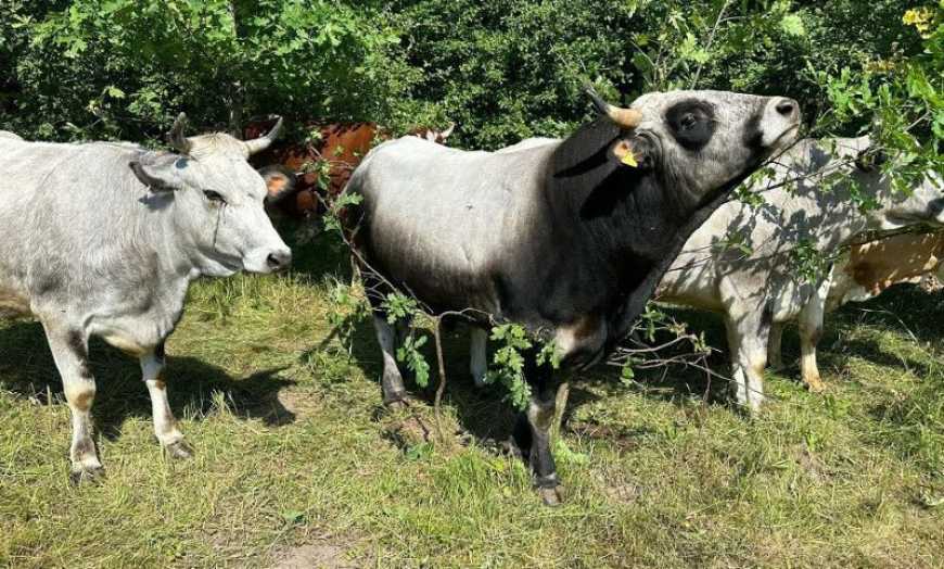 Михайло Травецький: &laquo;Криза молочного бізнесу в Україні &mdash; це фактично криза переробних підприємств&raquo;