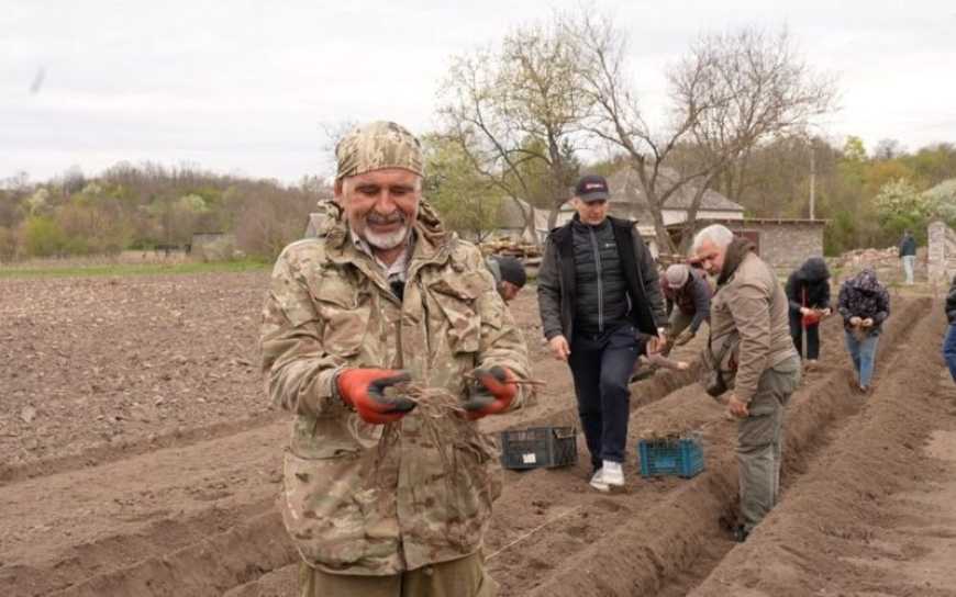 На Черкащині ветерани ЗСУ навчалися вирощувати спаржу