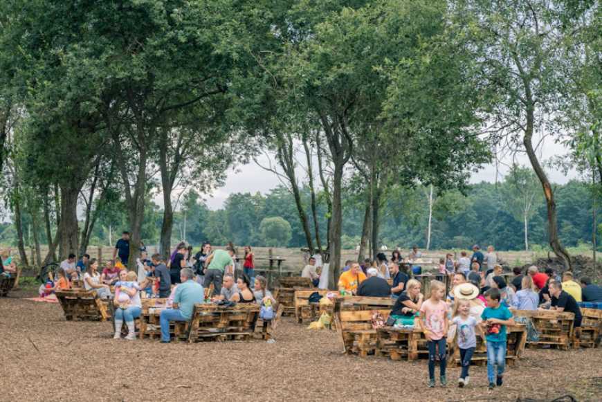 В Україні виробники органічних ягід проводять екскурсії на фермі