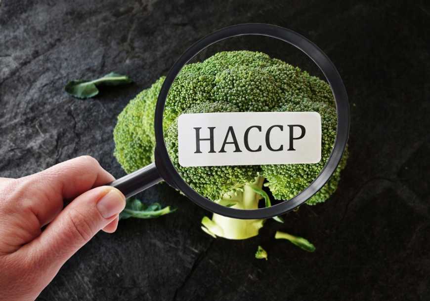HACCP за спрощеною системою
