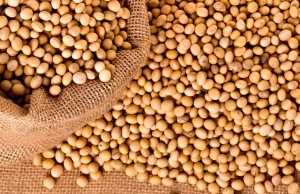 Унікальне насіння сої в лінійці продукції бренду RYASNO