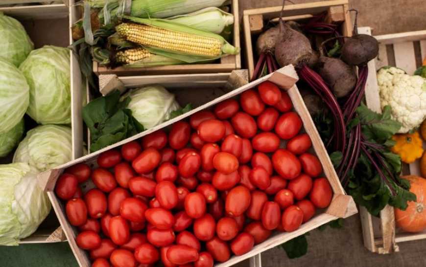 Аграрний комітет прогнозує активну розбудову овочесховищ вже наступного року