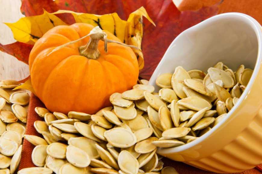 Цьогоріч виробники очікують зростання цін на насіння гарбуза