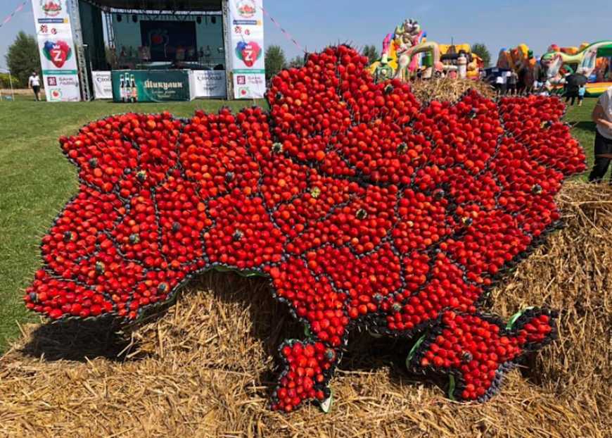 Під час ягідного фестивалю було встановлено два рекорди України