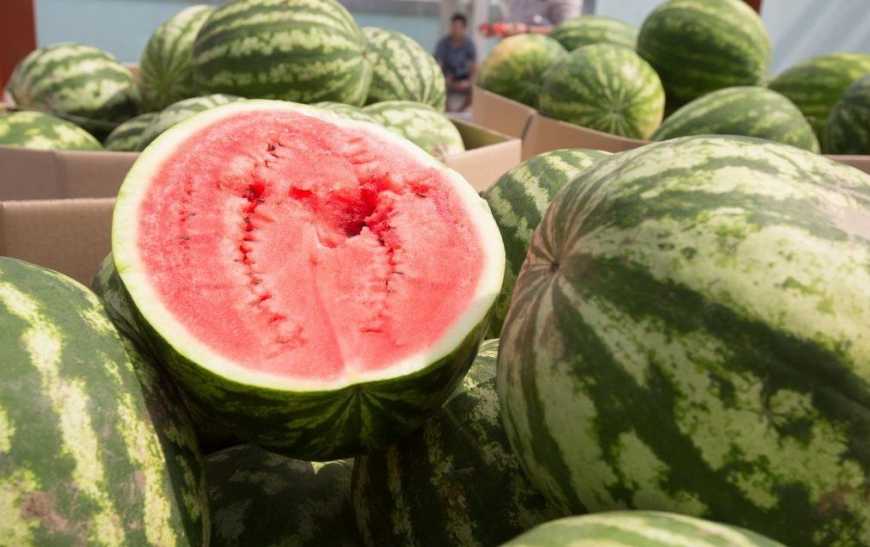 Цьогоріч кавуни коштують на 20% дешевше