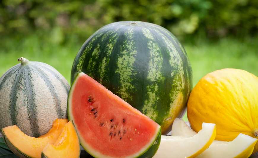 Кавуни – по 1,80, дині – по 3 гривні