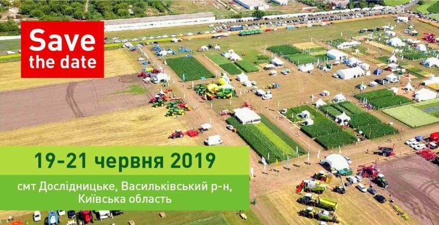 Міжнародні дні поля в Україні