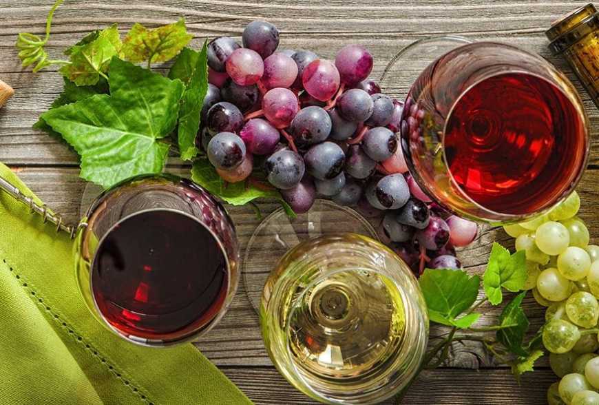 Виноробство: з придбаного винограду малі виробники в Україні можуть виготовляти вино за додатковою ліцензією