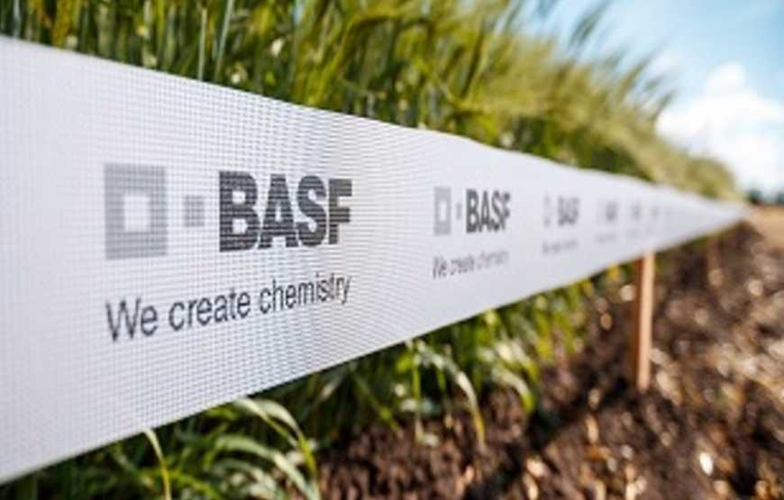 Нова глобальна стратегія BASF стимулюватиме розвиток інновацій в агросекторі