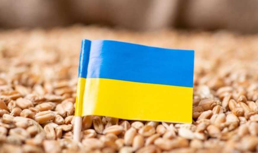 У 2023 році експорт зернових та олійних з України перевищить минулорічний показник &ndash; Сольський