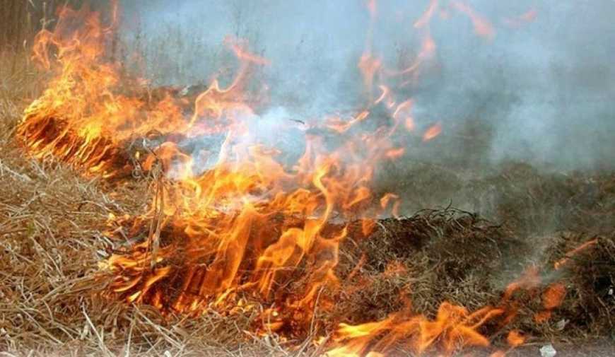 В Україні хочуть збільшити штрафи за підпал трави