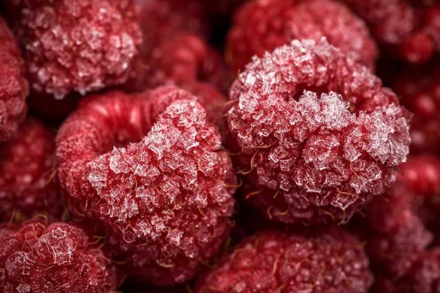 Експорт замороженої малини: Україна знижує залежність від Польщі