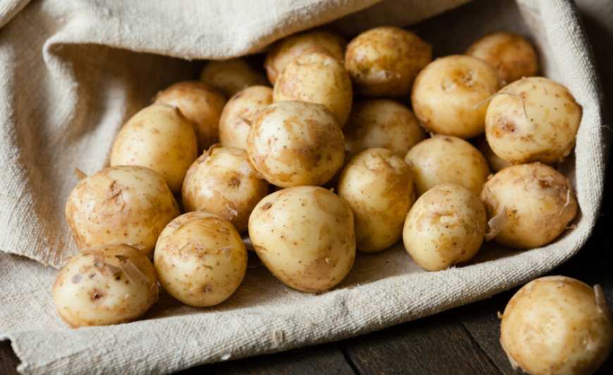 Ціни на картоплю в Україні за тиждень знизилися на 10%