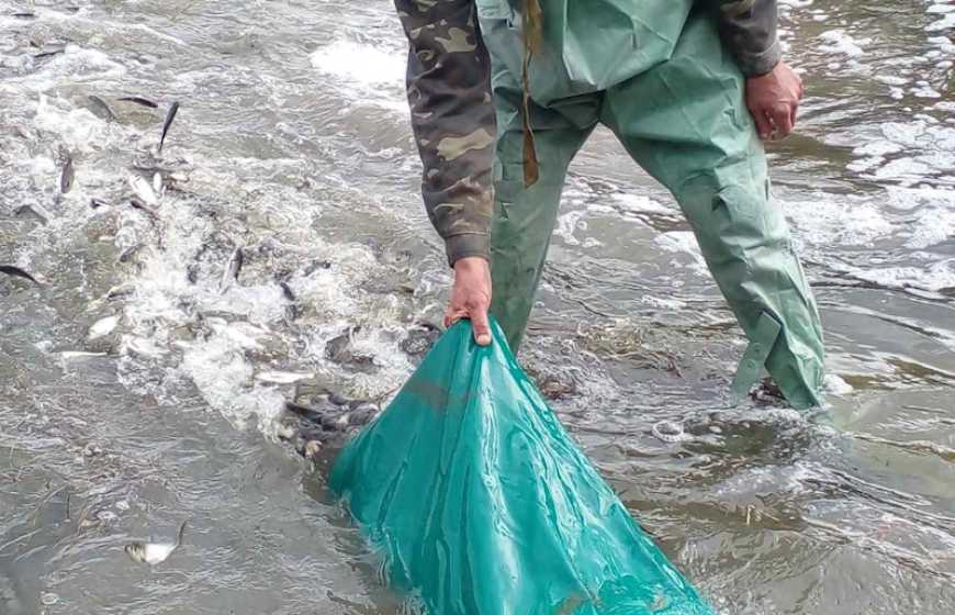 В Україні стартувала весняна кампанія зариблення водойм
