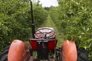Як правильно обрати трактор для роботи у садівництві та виноградарстві