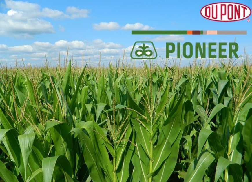 ICRISAT та Corteva Agriscience™, Сільськогосподарський підрозділ DowDuPont підписали багаторічну угоду