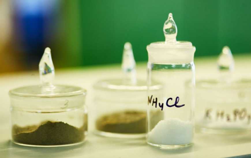 Як якісно захистити і підживити посіви