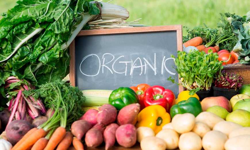 Україна входить до топ-5 постачальників органічної продукції до ЄС