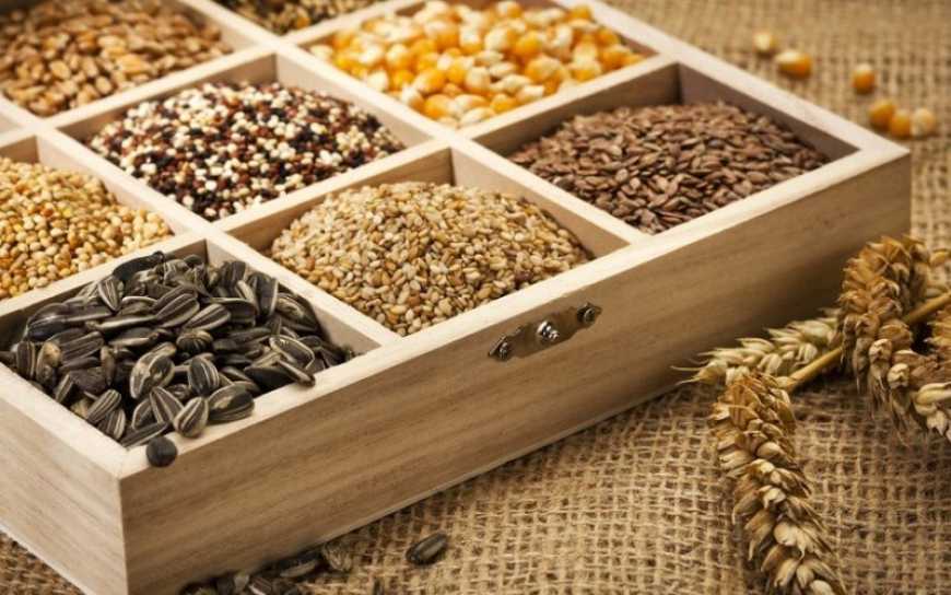 Кабмін дав «зелене світло» на створення реєстру сортів насіння