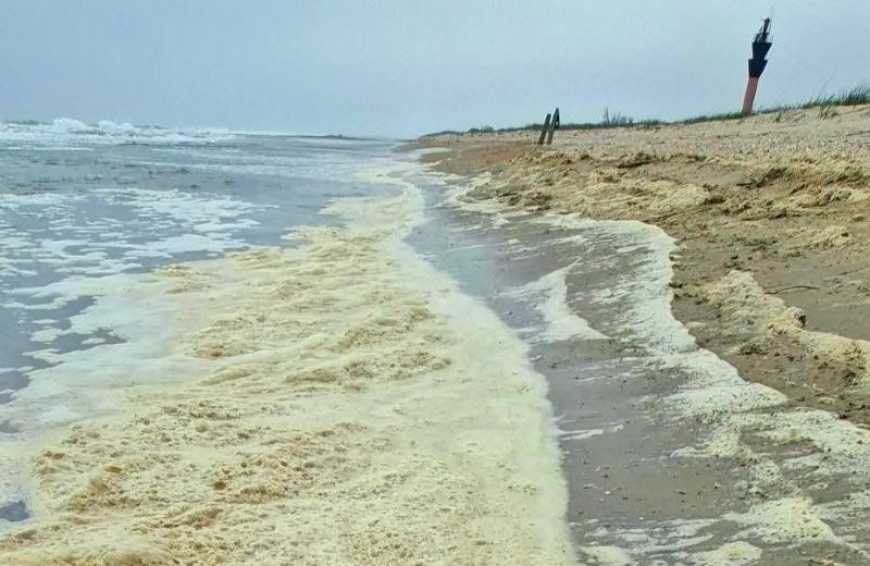 На Одещині розлив олії у Чорному морі, спричинений атакою рф, досяг акваторії Нацпарку