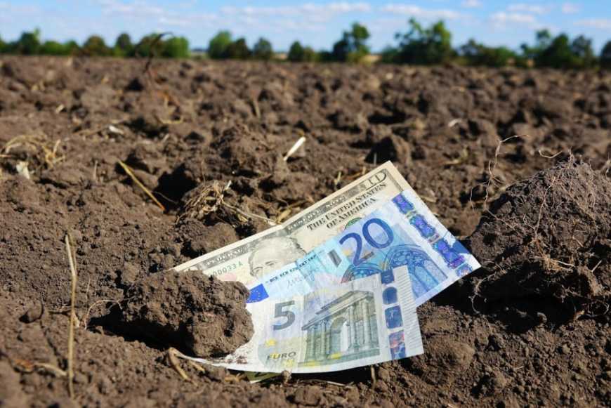 В Україні пропонують прив&rsquo;язати орендну плату за землю до НГО
