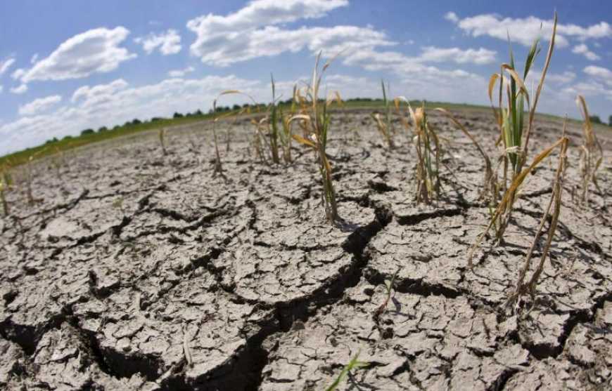 «За кожну тонну отриманого зерна платимо 10 тоннами змитого ерозією ґрунту», – НААН