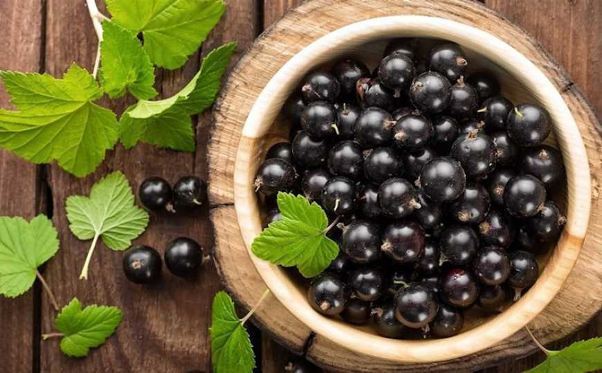 Торік Україна скоротила експорт смородини