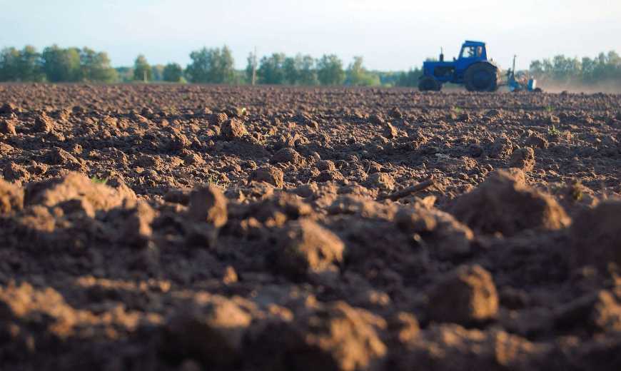 Аграрний комітет рекомендує продовжити дію земельного мораторію