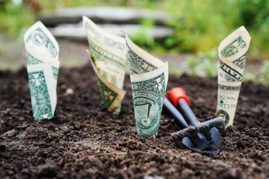 У Раді пропонують перевести купівлю-продаж землі в безготівковий розрахунок