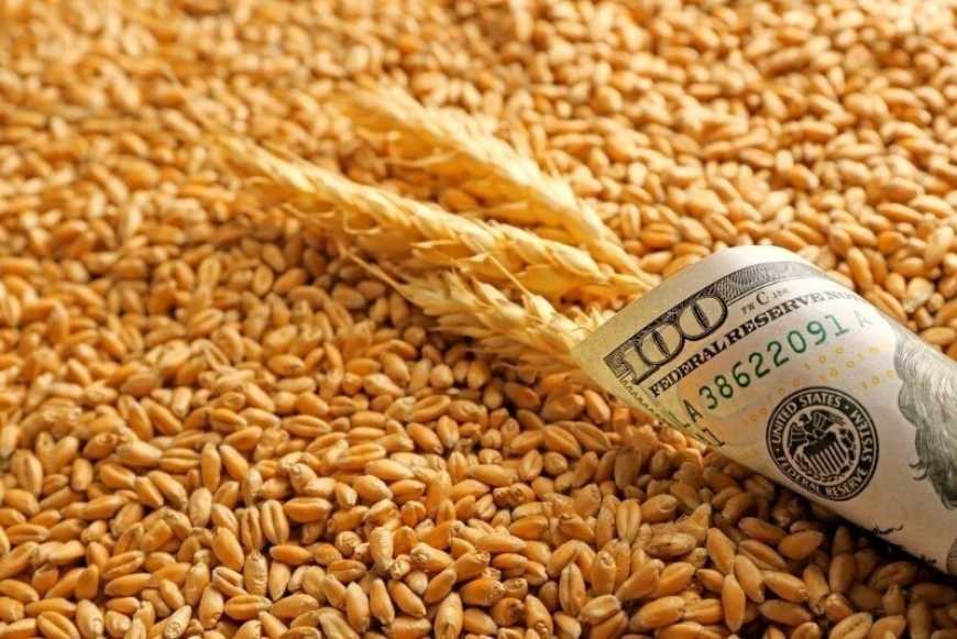 Ринок зерна: слідом за цінами на сою та кукурудзу опустилися котирування на пшеницю
