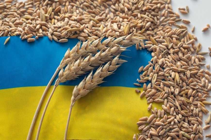Регулювання експорту зерна: УЗА закликає відмовитись від законодавчих нововведень