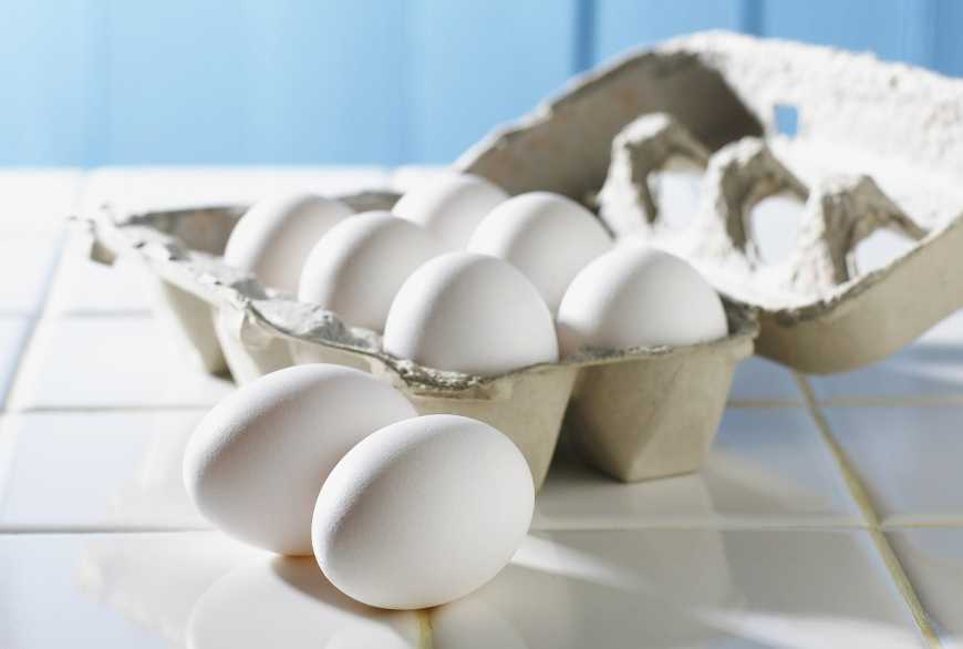 Україна почала експортувати курячі яйця до Албанії